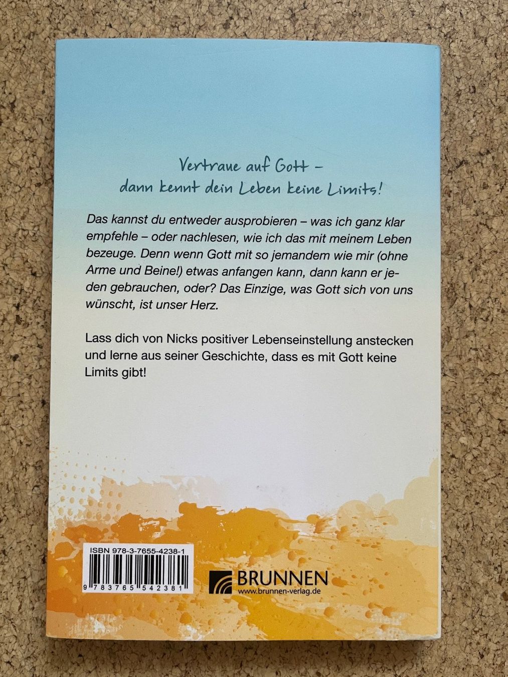 Bücher: Bücherpaket - 2x Buch von Nick Vujicic – Gebraucht aus Grosswangen von Vita500 1