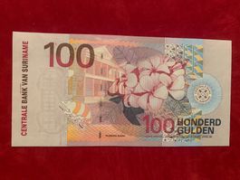 SURINAM - 100 Gulden 1 Januar1 2000 - Unzirkuliert / UNC