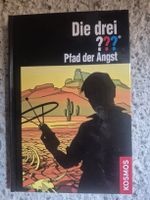 Die drei ??? Pfad der Angst Kosmos Buch, gute Erhaltung