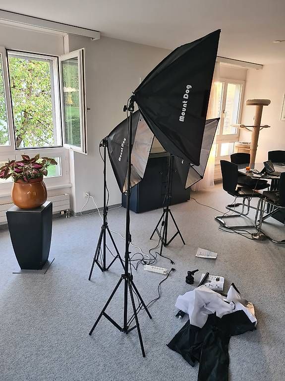 Flashs: Softbox Beleuchtungsset – D'occasion à Wittenbach par sufi03