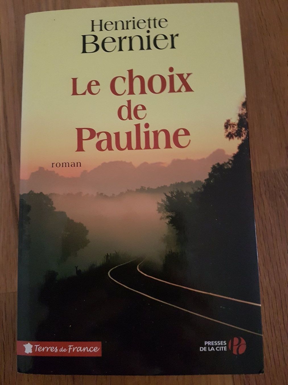 Libri: Le choix de Pauline – Nuovo (secondo la descrizione) da Porrentruy venduto da Piquetix
