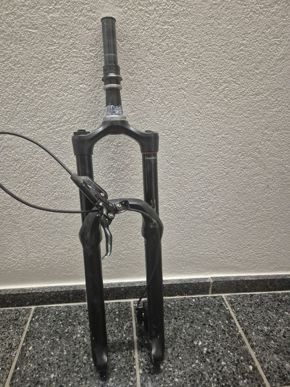 Forchette: Rockshox Lyric Ult 2020 – Usato da Urdorf venduto da sch_xnb9 2
