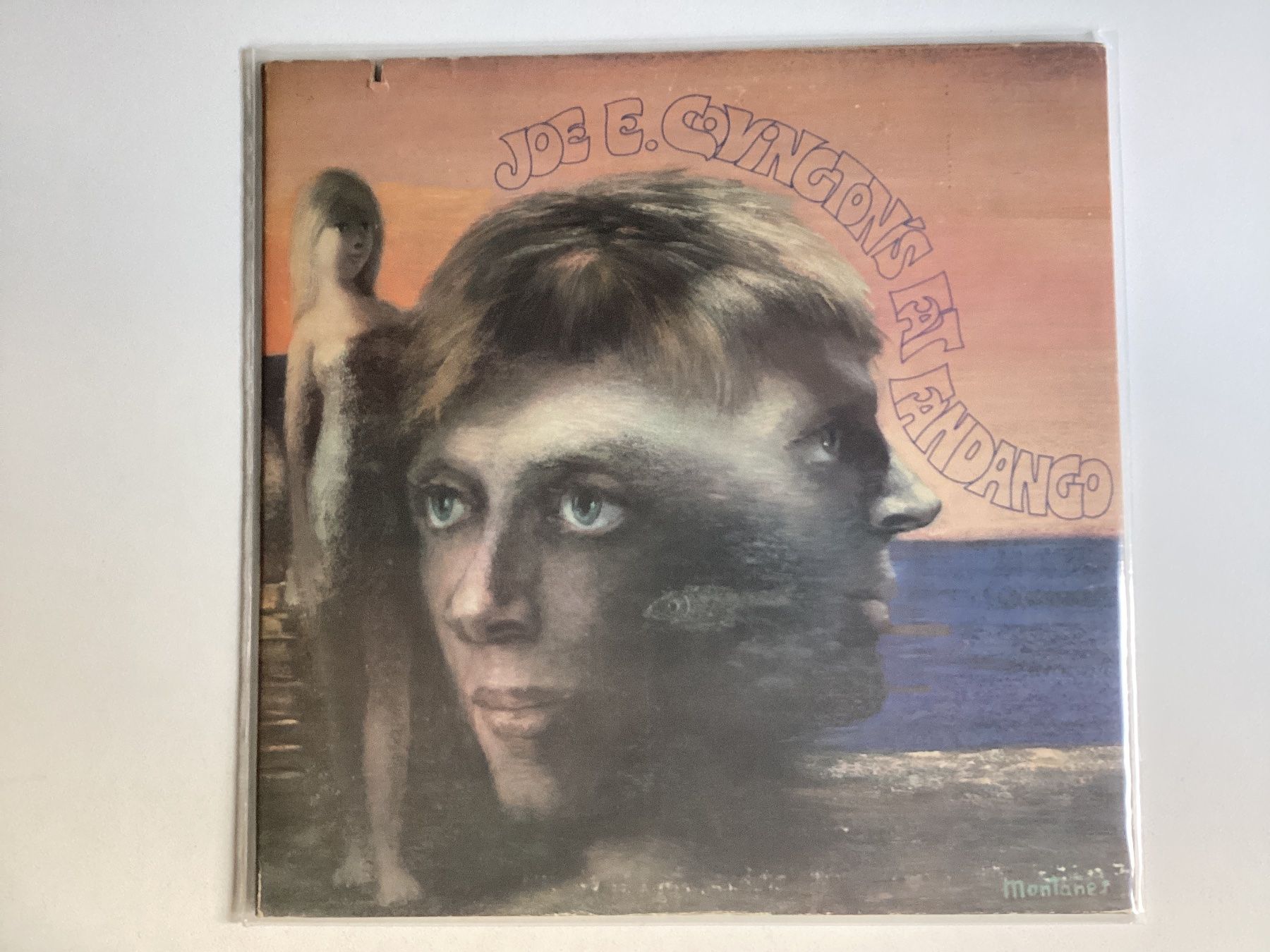 Schallplatten: Joe E. Covington’s Fat Fandango LP – Gebraucht aus Gutenswil von Hamzian
