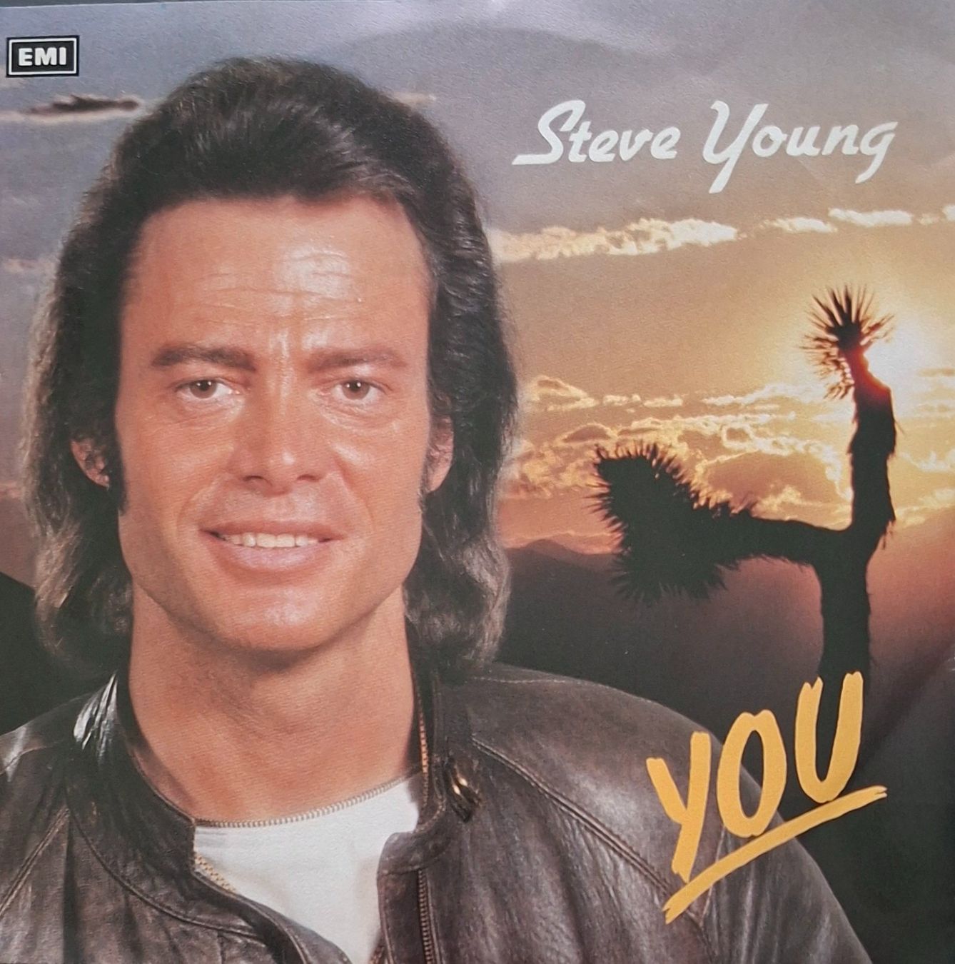 Dischi in vinile: Vinyl-Single Steve Young - You – Usato da Langenthal venduto da Modo39