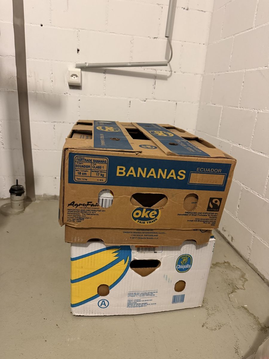 Cartoni: 6 Bananenkisten – Usato da Gossau ZH venduto da Tschaboe2