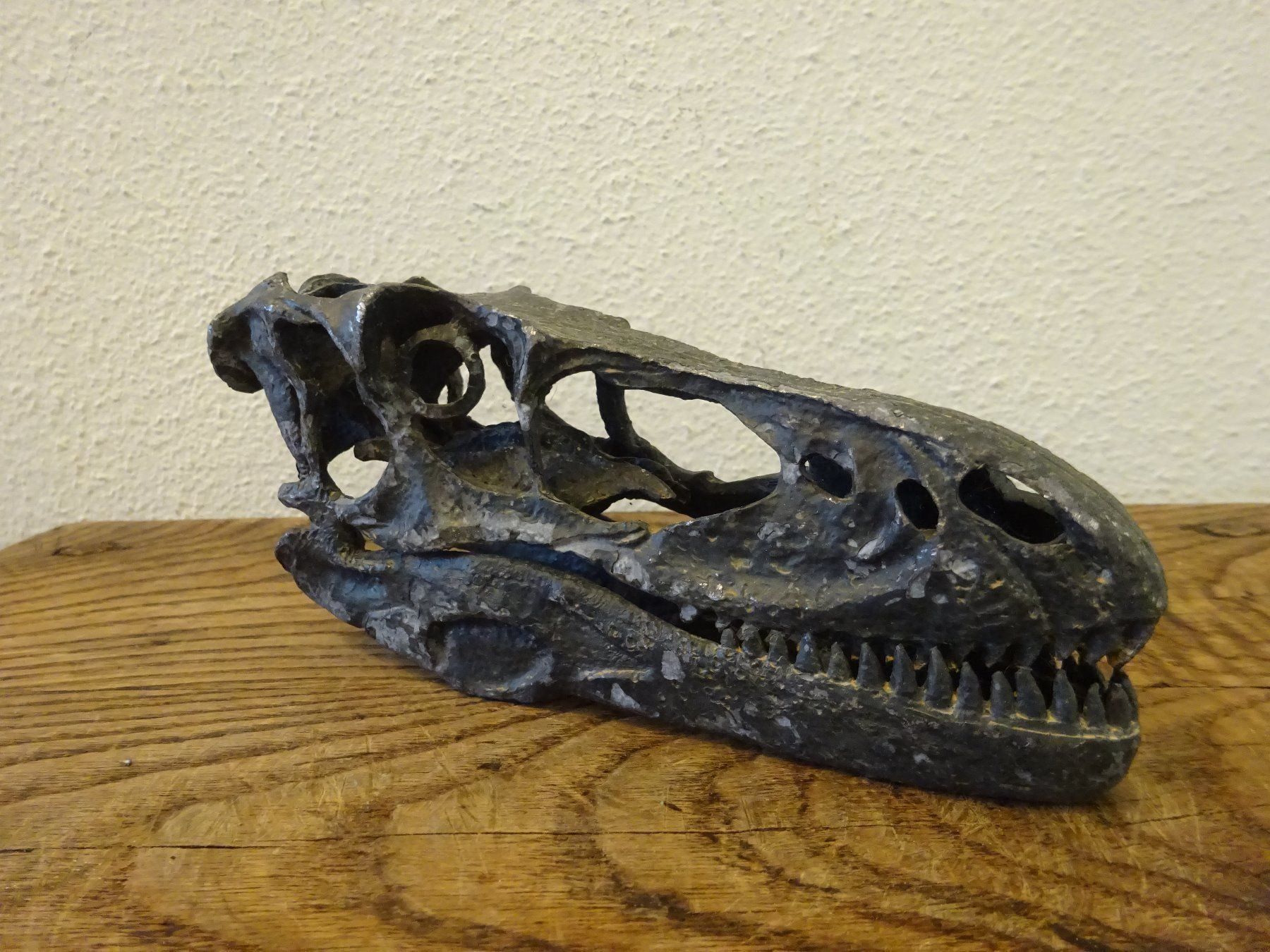 Fossili: Skulptur Schädel Saurier – Usato da Esslingen venduto da eintagammeer 1