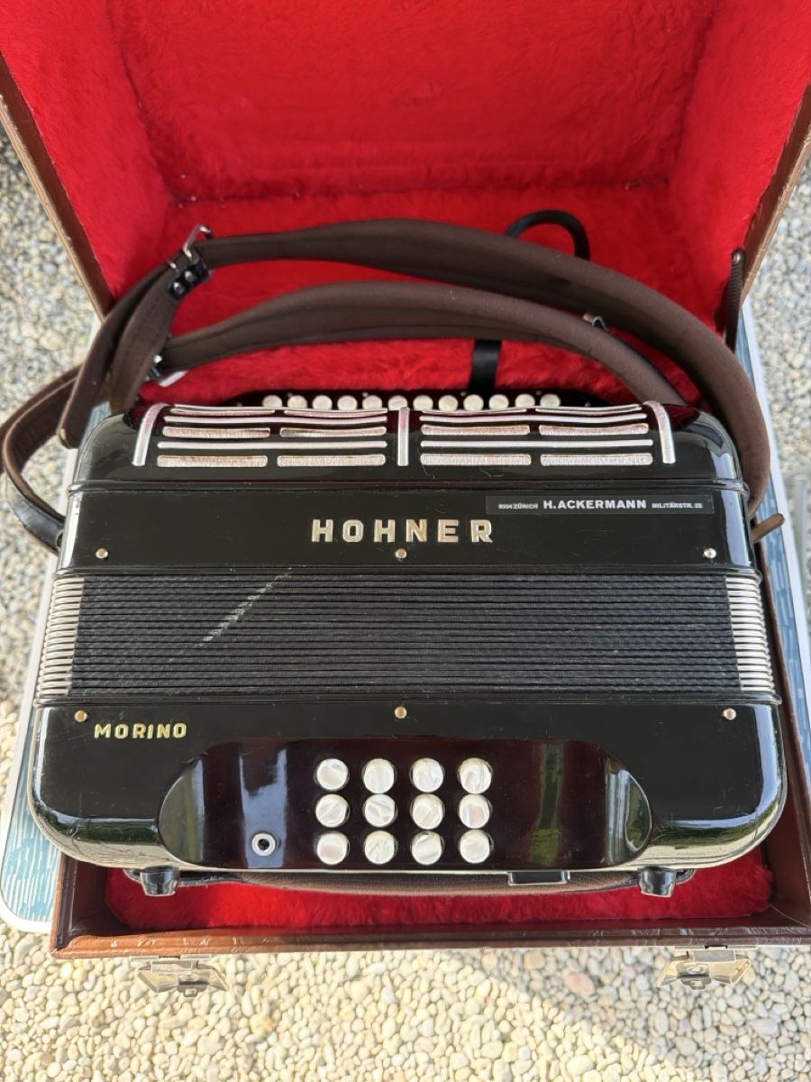 Hohner Strumenti musicali: Hohner morino – Usato da Schlieren venduto da Luxury.Time 1