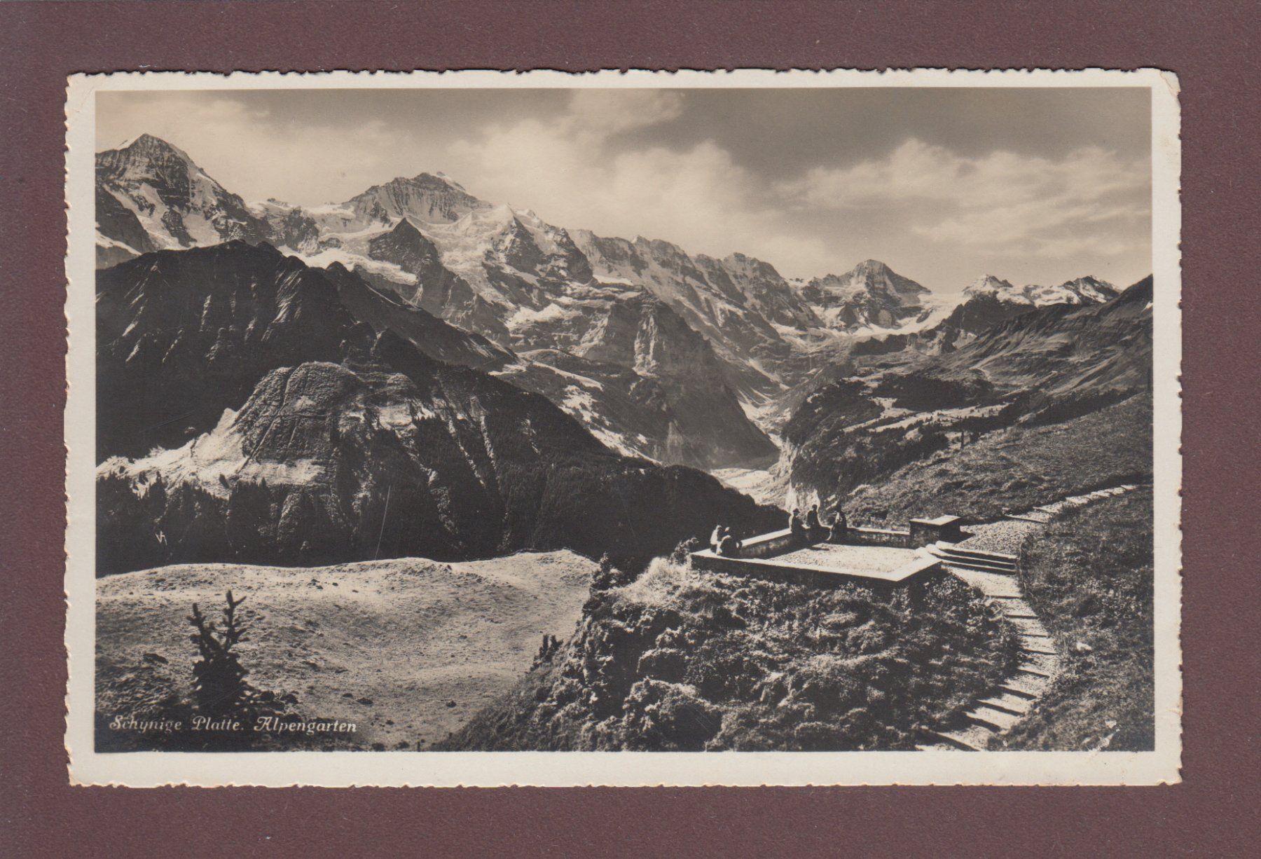 Cartoline postali: SCHYNIGE PLATTE - Alpengarten - 1931 – Usato da Pully venduto da nicecards