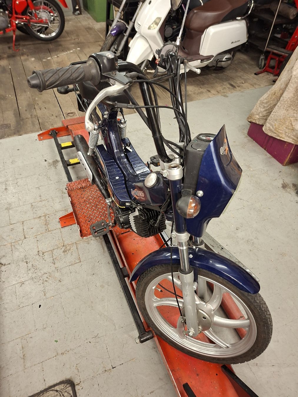 Tomos Ciclomotori: tomos Quadro Orginal  Mofa  – Usato da Herisau venduto da vw1972
