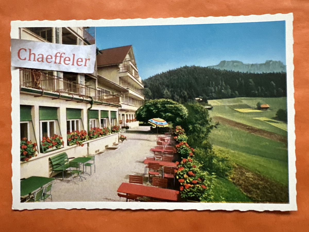Cartoline postali: 1966 Hotel – Pension Haltenegg – Usato da Zürich venduto da Chaeffeler