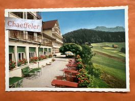1966 Hotel – Pension Haltenegg