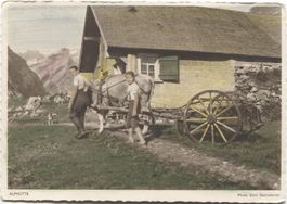 LANDWIRTSCHAFT/KUH MIT MISTBAENNE 1930 Seealpsee AI