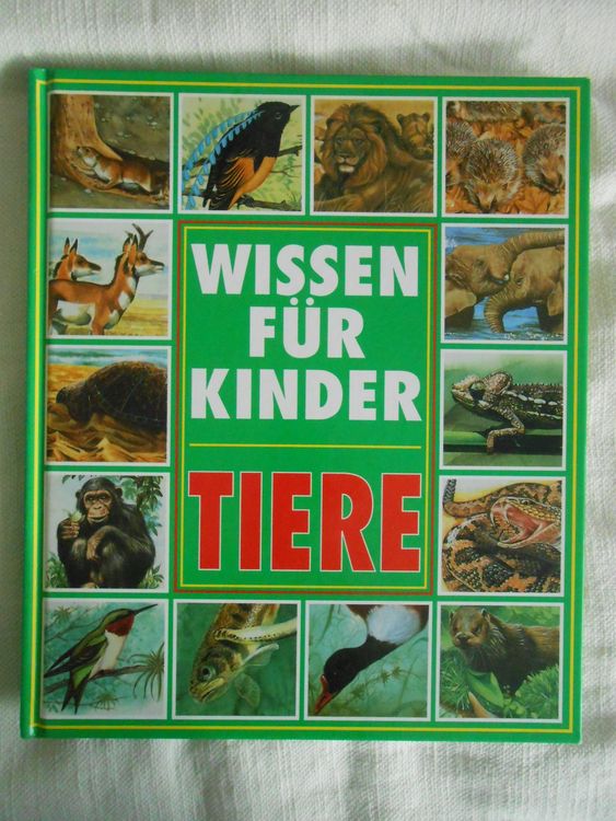 Wissen Für Kinder Spannendes Tierwissen Entdecken Gebraucht In