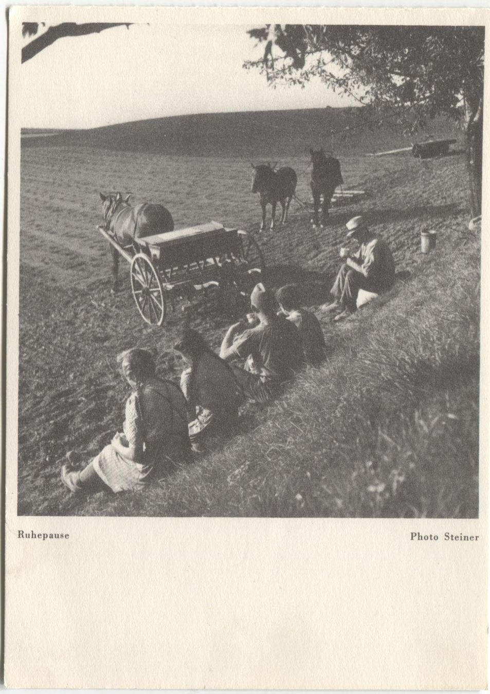 Ansichtskarten: LANDWIRTSCHAFT 1940 Kanton Bern Ackerbau mit Pferd – Gebraucht aus Wil SG von Clanx