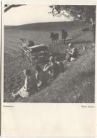 LANDWIRTSCHAFT 1940 Kanton Bern Ackerbau mit Pferd
