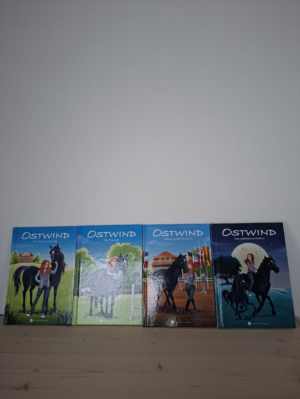 Libri: Ostwind Bücher 4 Stk. Erstlesebücher – Usato da Schwarzhäusern venduto da Belinda135