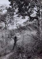 Originalfoto, Afrika, Ethnologie, Völkerkunde