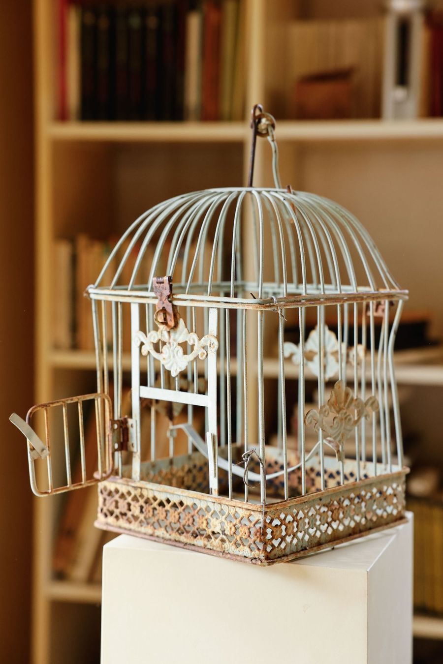 Casette per uccelli: Vogelhaus aus Metall – Usato da Zürich venduto da vitty