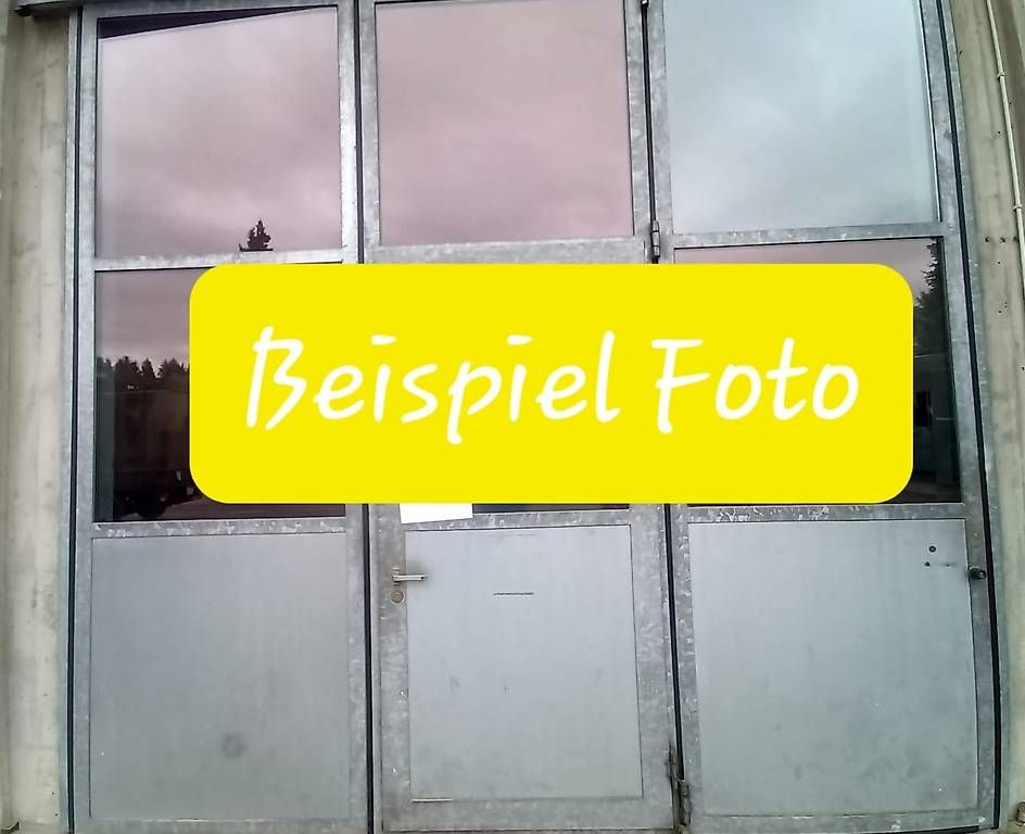 Porte: Falttore / Industrietore 2 Stück 3 Teilig – Usato da Gommiswald venduto da powerlift 1