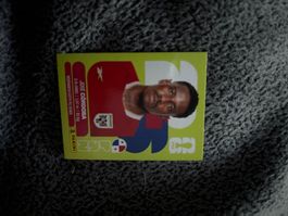 Panini Sticker PAN 8, Panama WM 2026