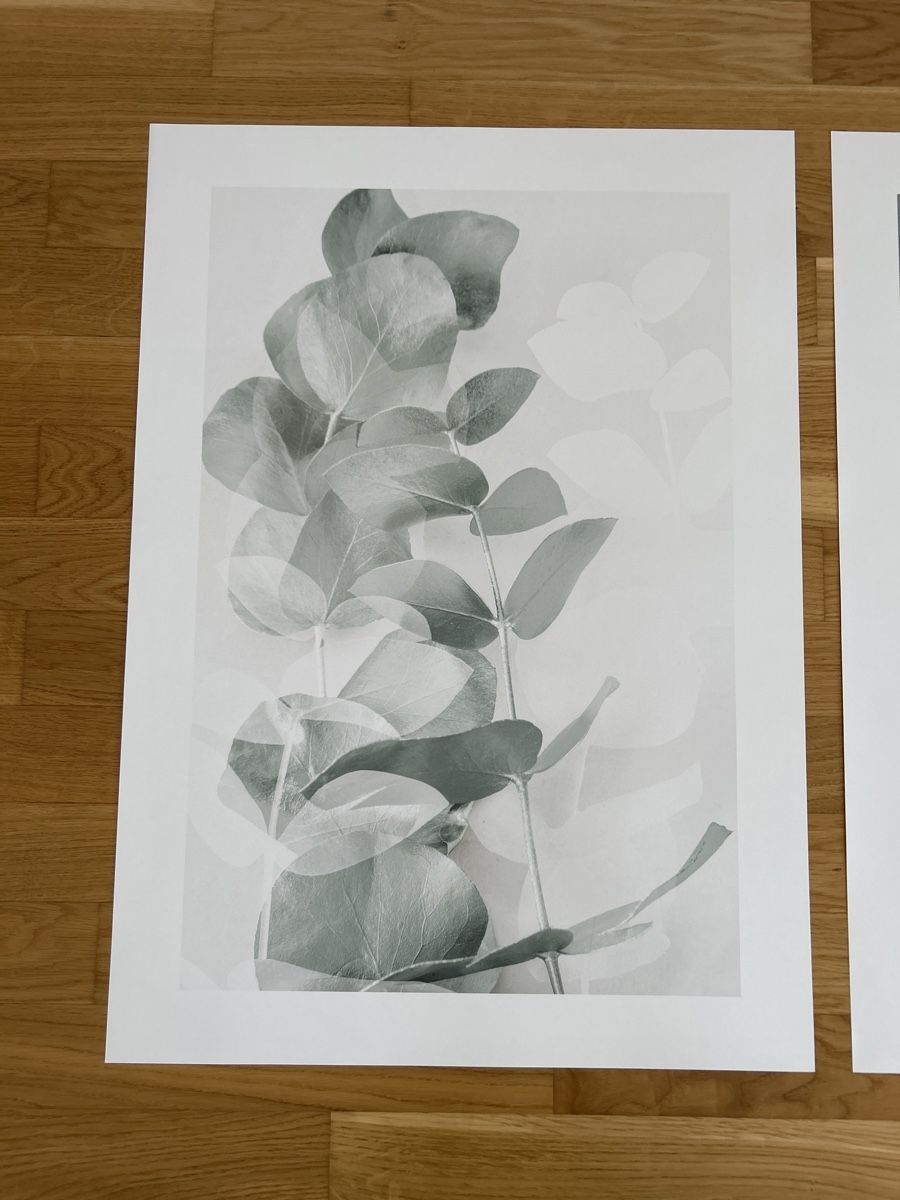 Foto & Immagini: NEU: Poster Set 3-teilig 50 x 70 cm – Nuovo (secondo la descrizione) da Hunzenschwil venduto da happy07201 1