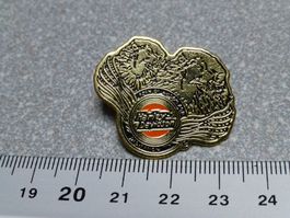 PIN PINS HARLEY DAVIDSON HOG ABZEICHEN CHAPTER V-TWIN