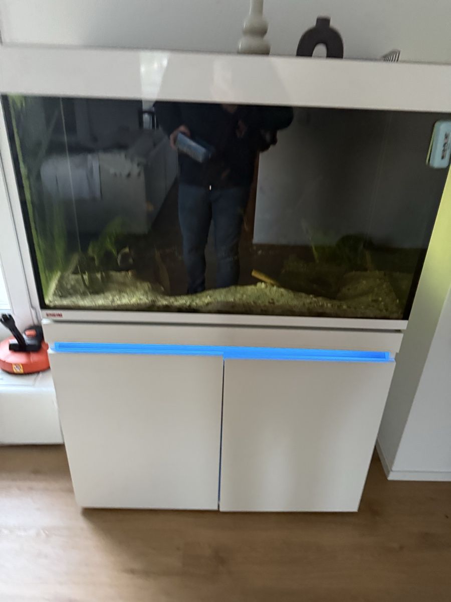 Aquarium: Eheim incipia 330 LED weiss – Gebraucht aus Menziken von Beshi90