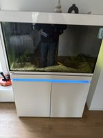 Eheim incipia 330 LED weiss