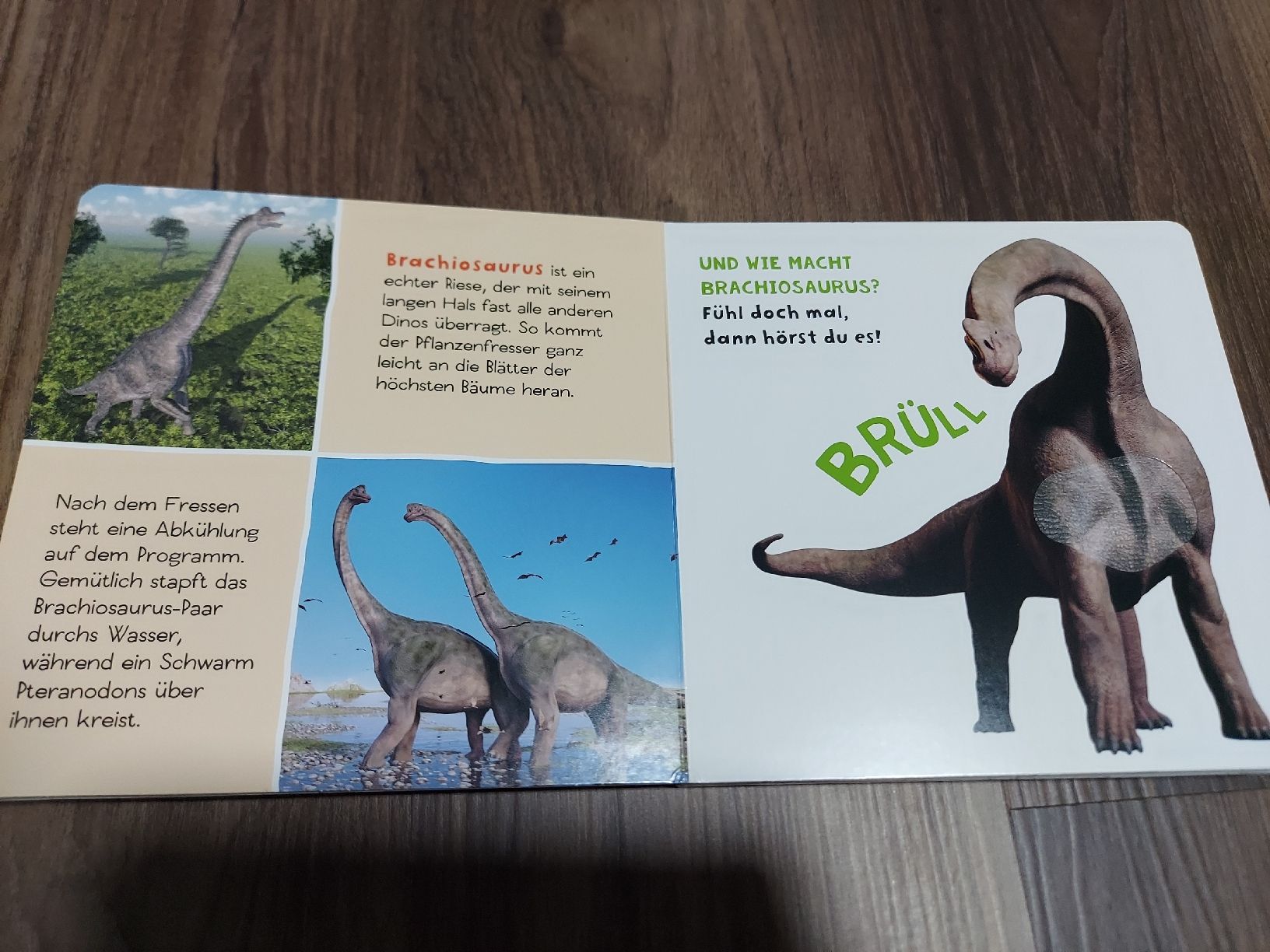 Libri: Soundbuch Dinosaurier: Entdecke die Urzeit – Usato da Altishofen venduto da tammy05 1
