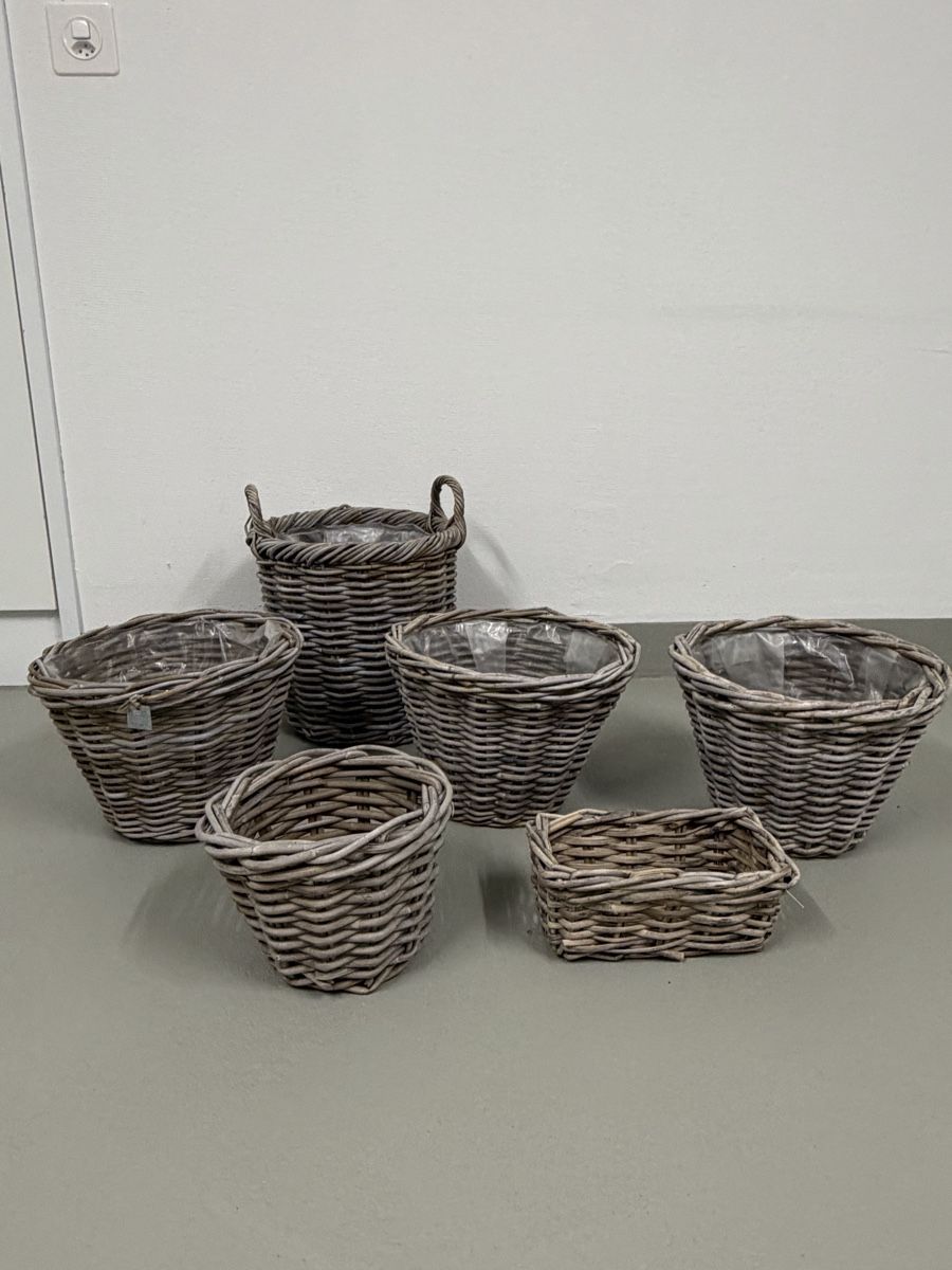 Blumentöpfe: Pflanzenkorb Rattan Set  – Gebraucht aus Berikon von hei10