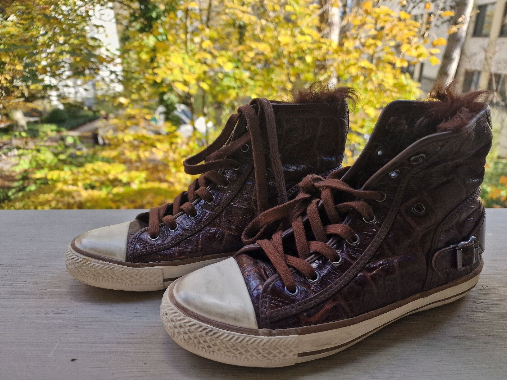 Ash Scarpe da donna: Ash Sneakers Gr.38 – Usato da Basel venduto da chingson 1