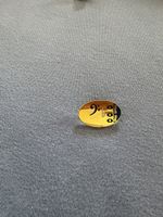 Pin Musik Hug limitierte Auflage
