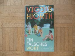 Vigdis Hjorth, Ein falsches Wort