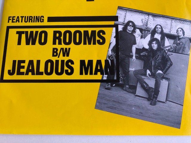 Dischi in vinile: The Cynics – Usato da Aarwangen venduto da Jukebox3 1