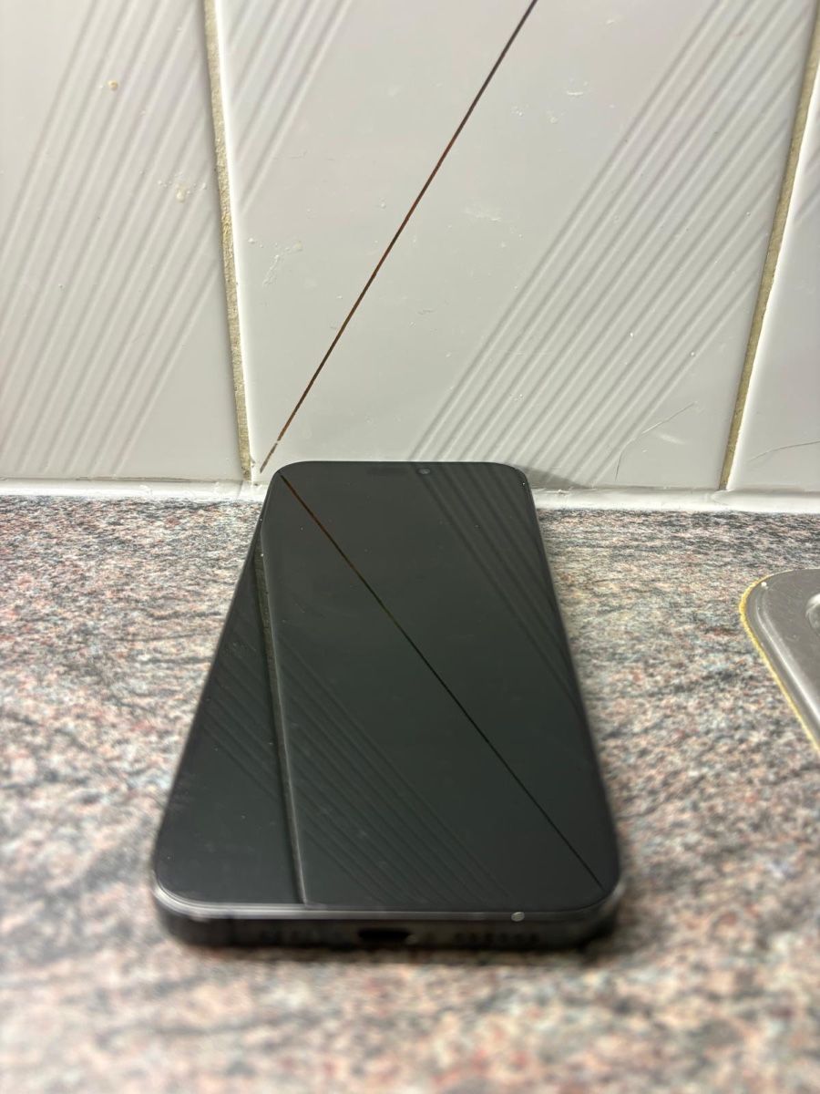 Apple Telefoni cellulari / Smartphones: iPhone 15 Pro Max - Titan Black – Usato da Giornico venduto da ema_vm7d 2