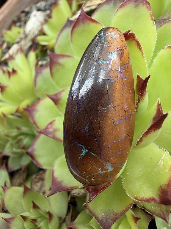 Pierres précieuses: Geschliffener Opal  – D'occasion à Wigoltingen par SANDROPAL 1