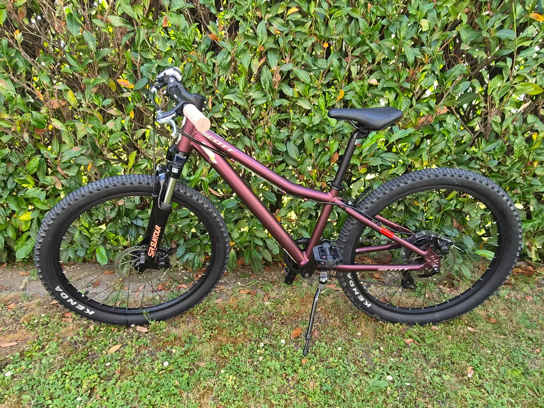 Scott Biciclette: Scott Contessa 24 - violett – Usato da Amriswil venduto da Sapafi