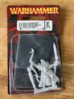 WARHAMMER Fantasy Hochelfen Alith Anar Schattenkönig *RAR*