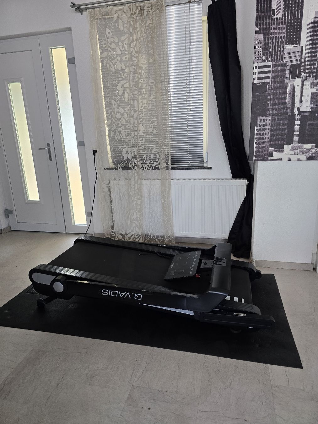 Hometrainer: HAMMER Laufband Q. VADIS 3 – Usato da Derendingen venduto da S.Skorbi 6