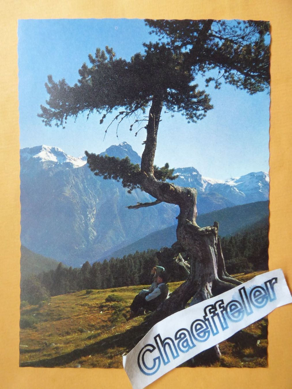 Cartes postales: Val Mingér im Nationalpark – Neuf (Voir description) à Zürich par Chaeffeler