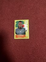 Panini Sticker Hicham Boudaoui Algerien Nr. 10