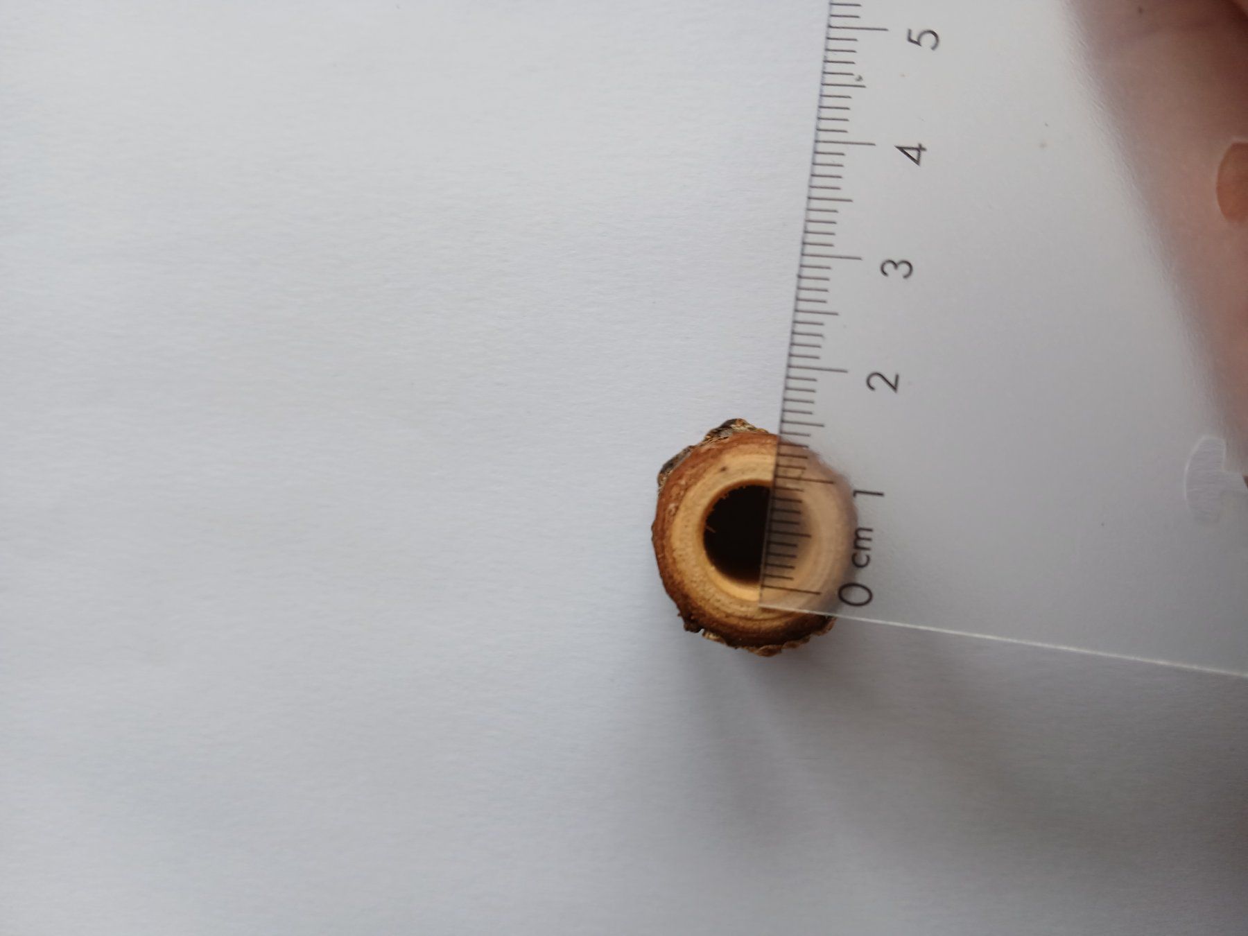Accessoires pour cheveux: Dreadschmuck, Dreadlock Anhänger – Neuf (Voir description) à Bremgarten AG par Finoae 1