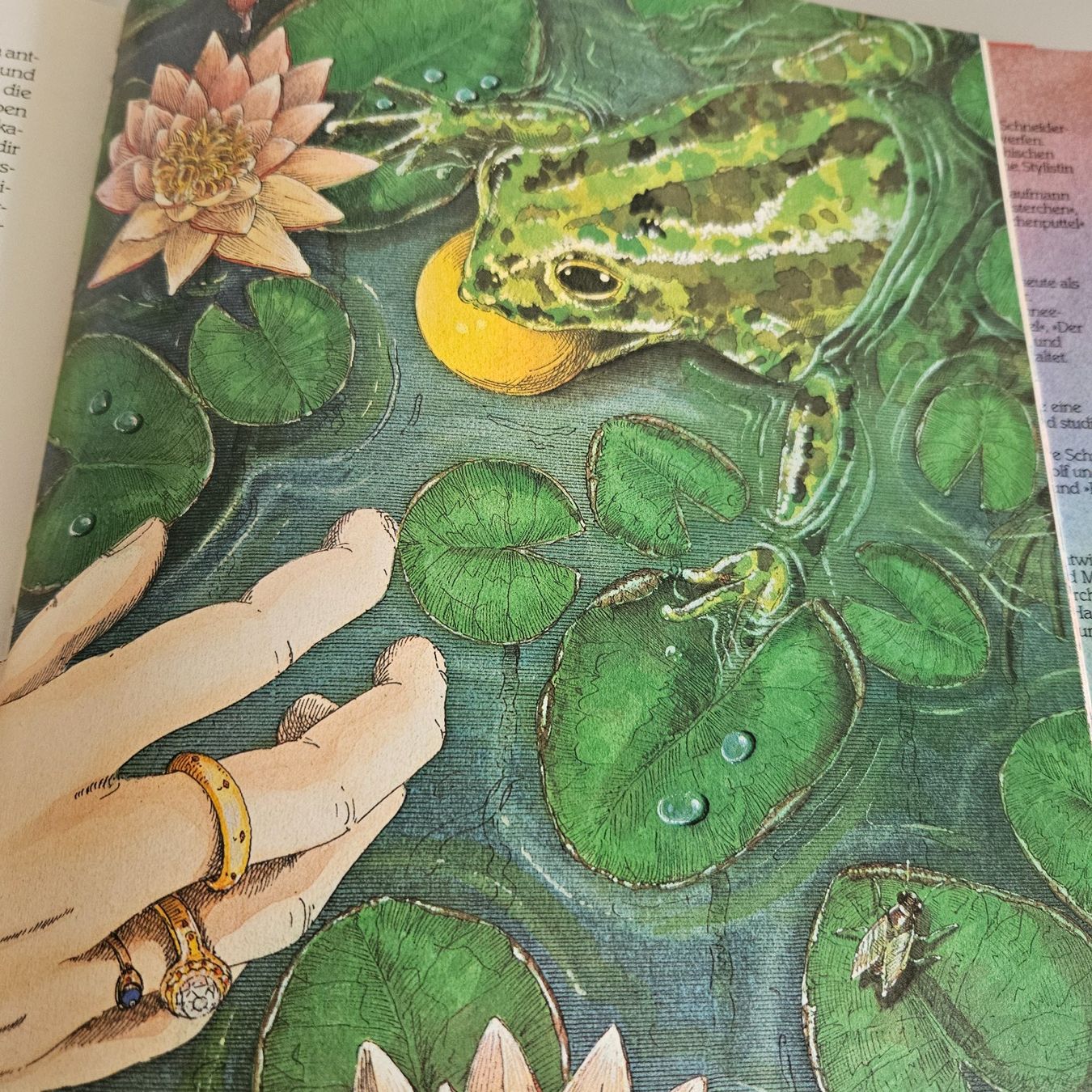 Libri: Märchen  Schatz – Usato da Uster venduto da Sonnenblume212 8