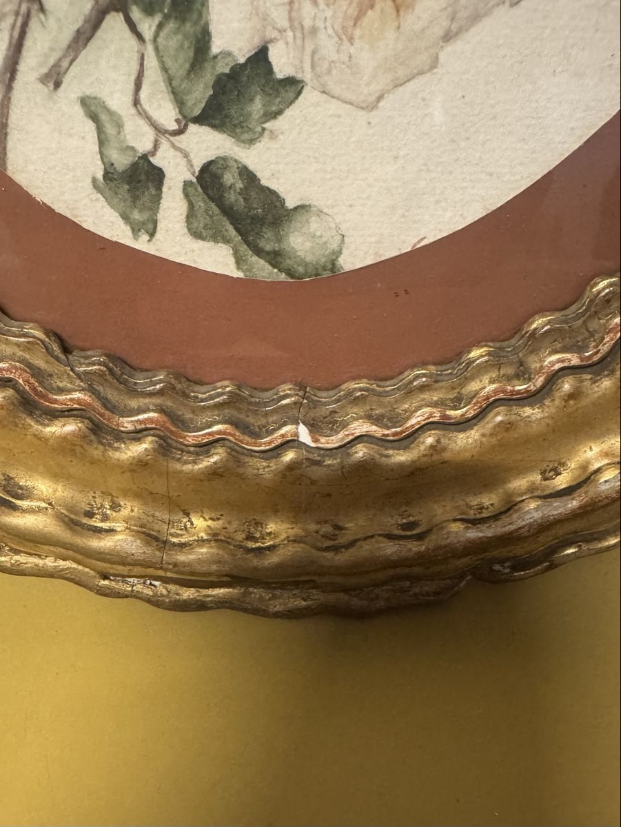 Tableaux: Aquarell Bilder Stileben – D'occasion à Schlieren par Freundlich02 3