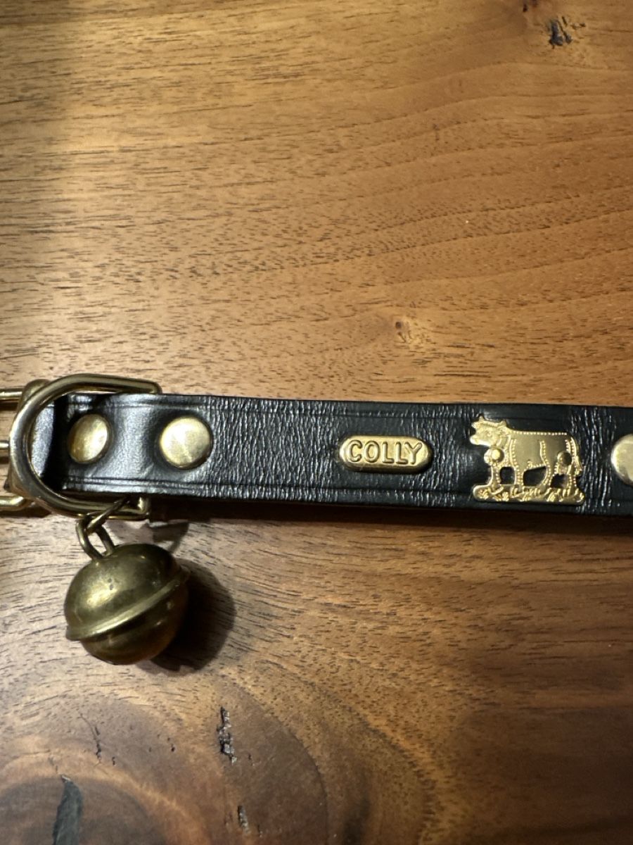 Nastri decorativi: Hundehalsband Appenzell Leder – Nuovo (secondo la descrizione) da S. Antonino venduto da Swissbutler 1