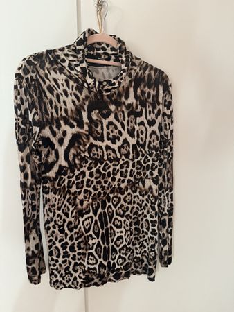 Cavalli pulli