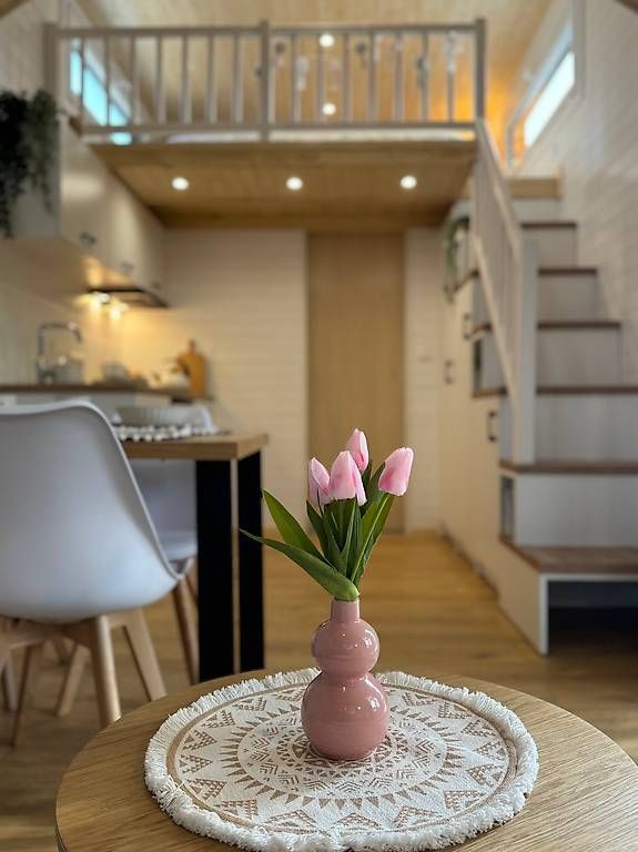 Mobilhome: Tiny Home Smile 451 – Usato da St. Gallen venduto da Spa_at_Home911 4