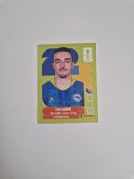 Panini Sticker BIH12