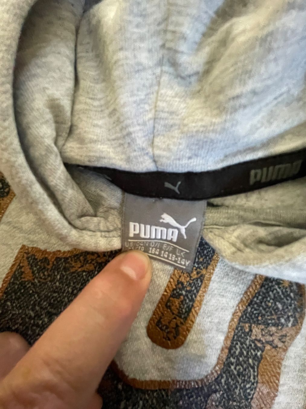Puma Pullover & Sweatshirts: Sweat à capuche Puma gris – Gebraucht aus Buttes von ste_29gf 1