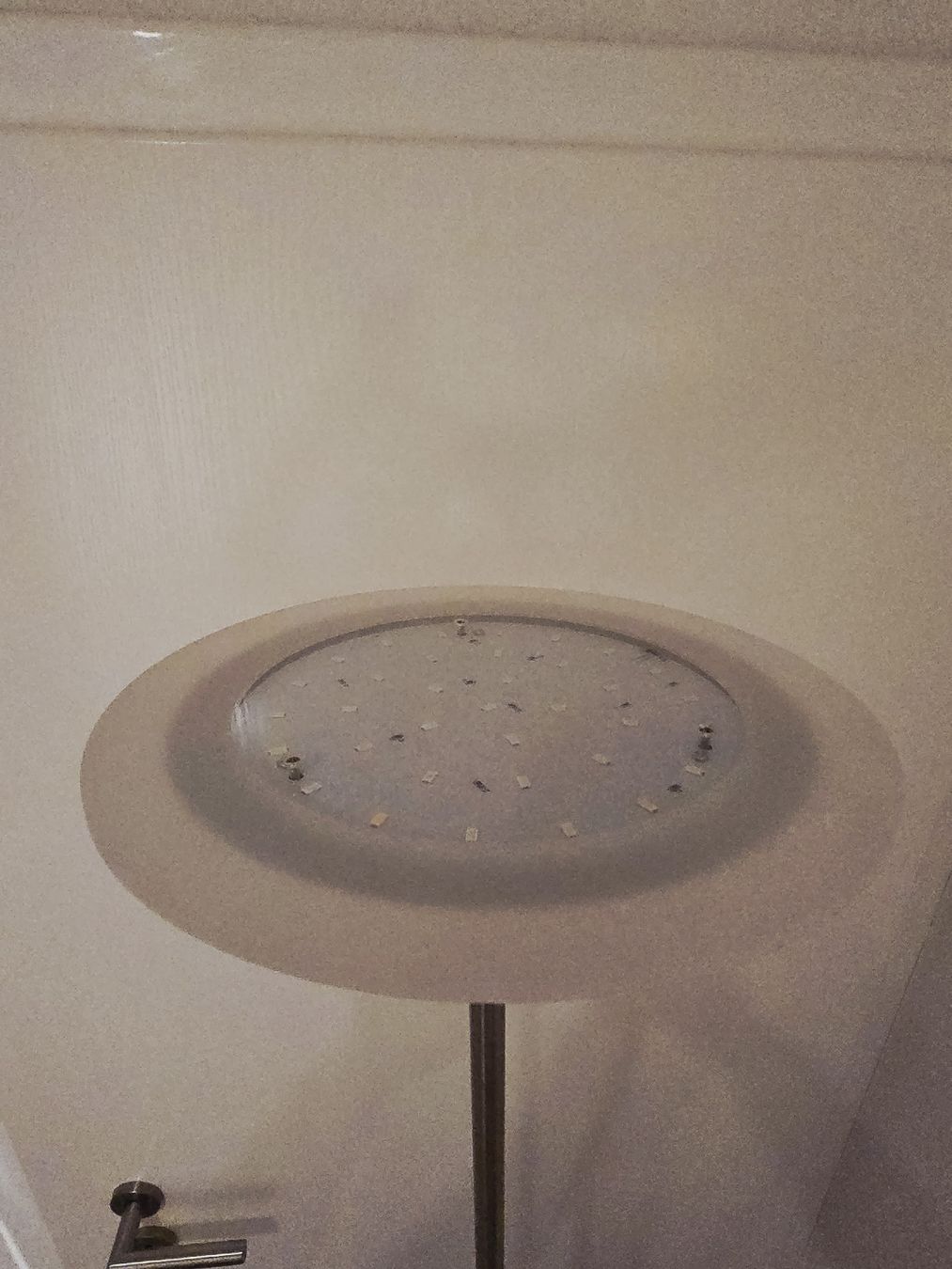 Lampade: Stehlampe mit Leselicht, dimmbar – Usato da Elgg venduto da Fufu28 1